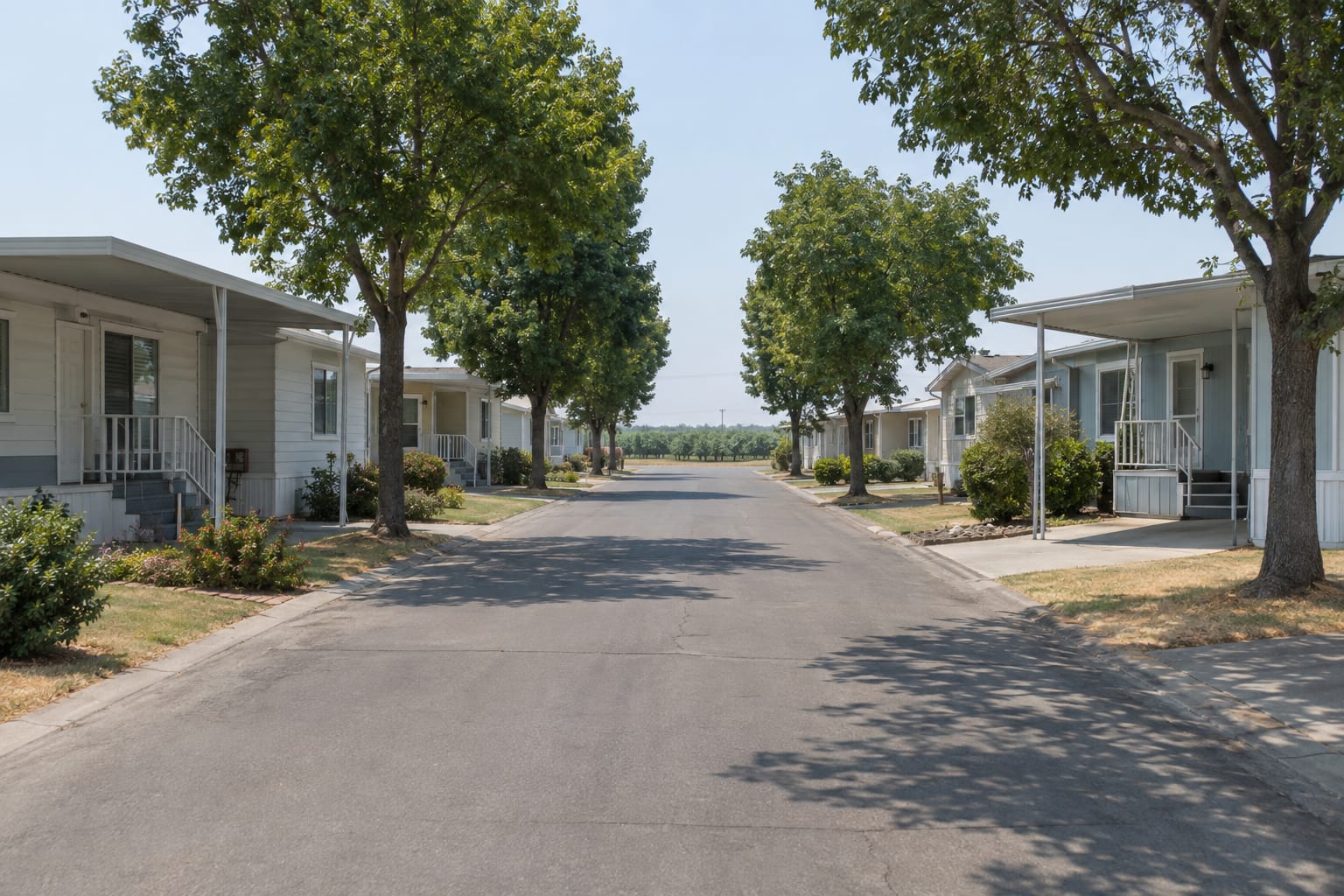 A flat, tree-shaded street in a manufactured home community, with single-wide and double-wide homes and carports on both sides under a hazy summer sky