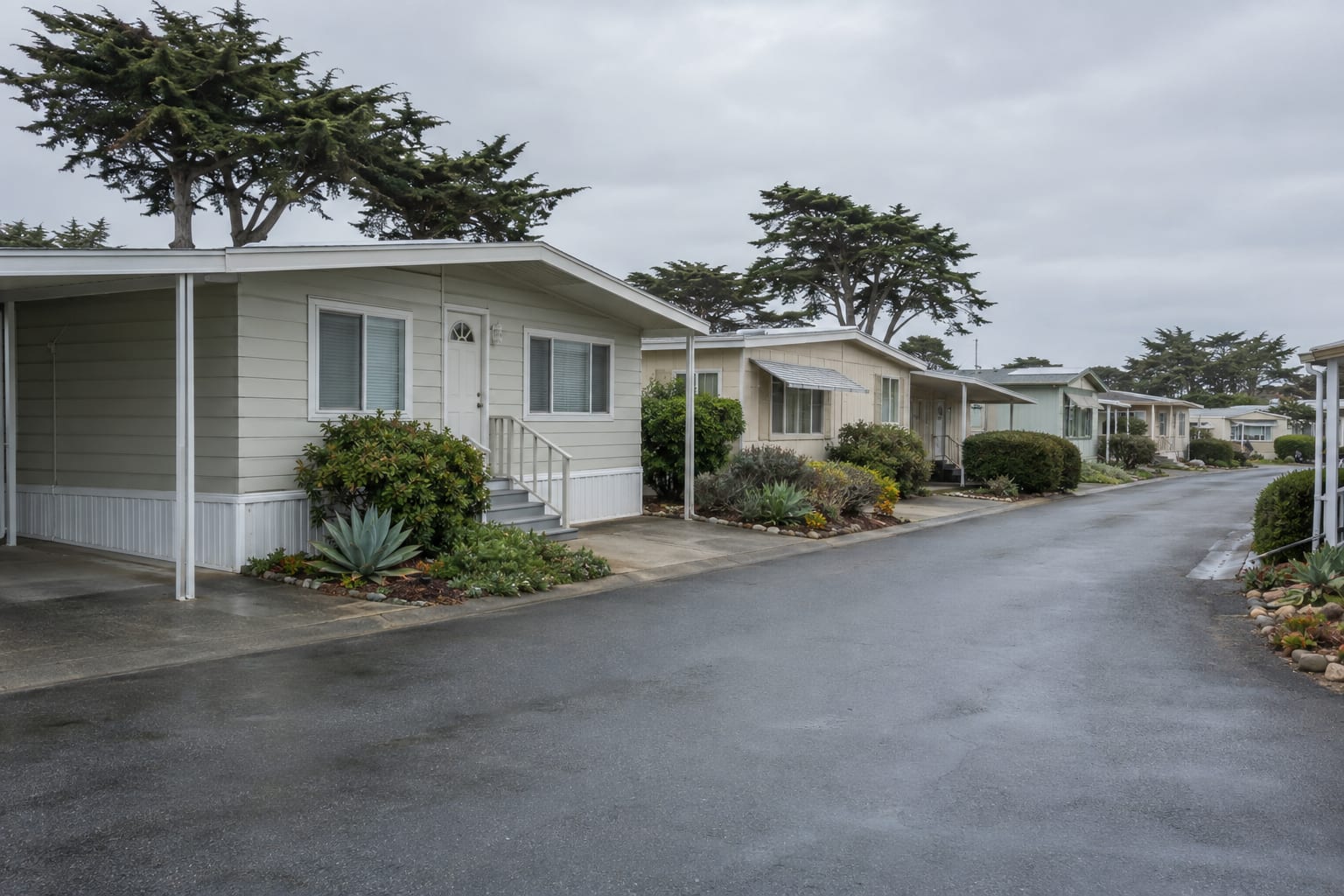 A quiet street of single-wide and double-wide manufactured homes with carports under an overcast coastal sky, with cypress trees between the homes