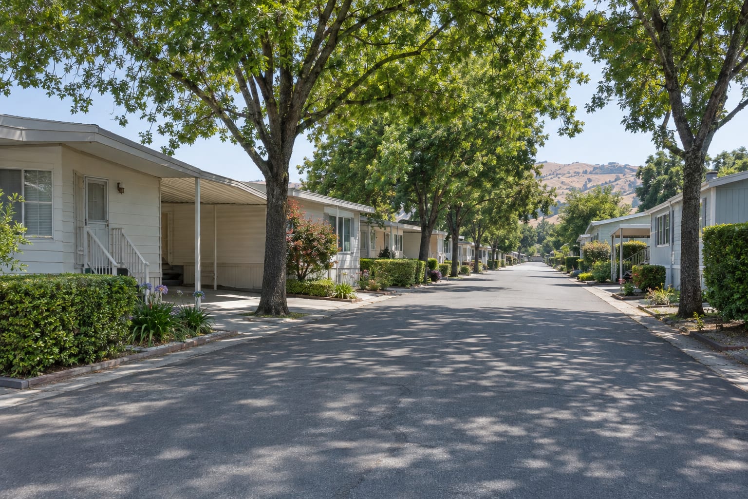 A straight street in an established manufactured home community, with homes and carports on both sides under tall mature shade trees