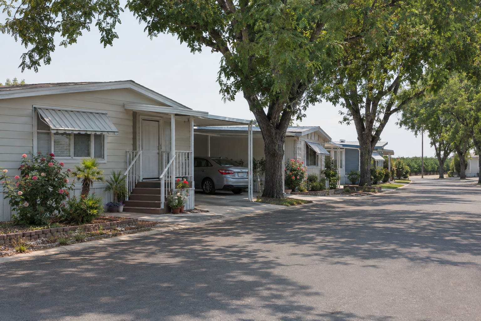 A tree-shaded street in a long-established California manufactured home community, with older well-kept homes, carports and small front gardens.